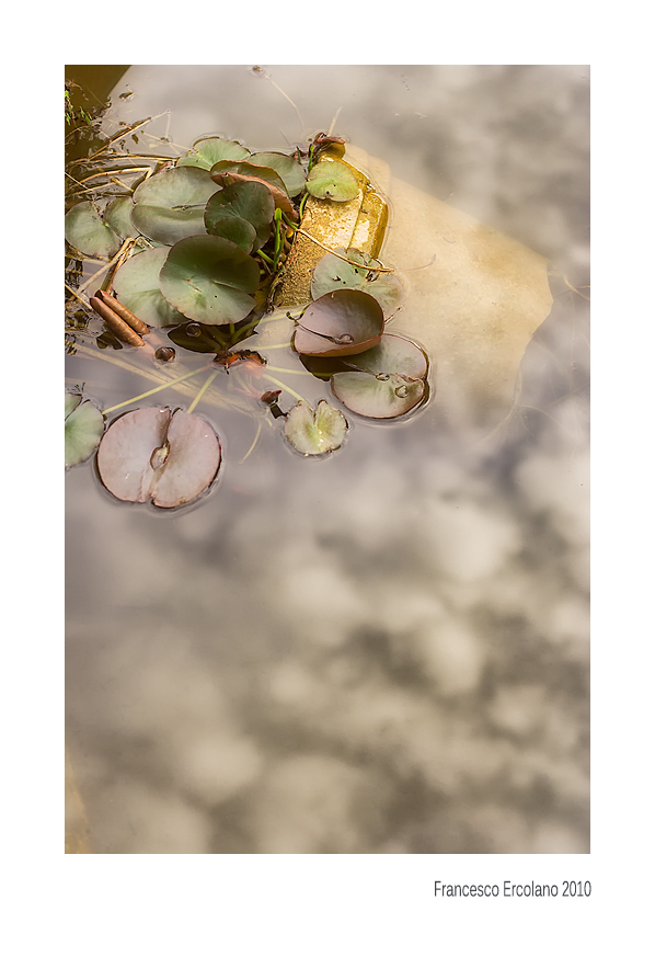 La Sostanza dei Sogni