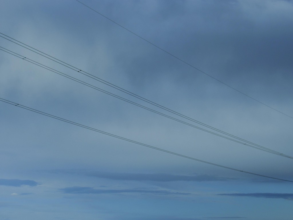 trefoli in cielo blu