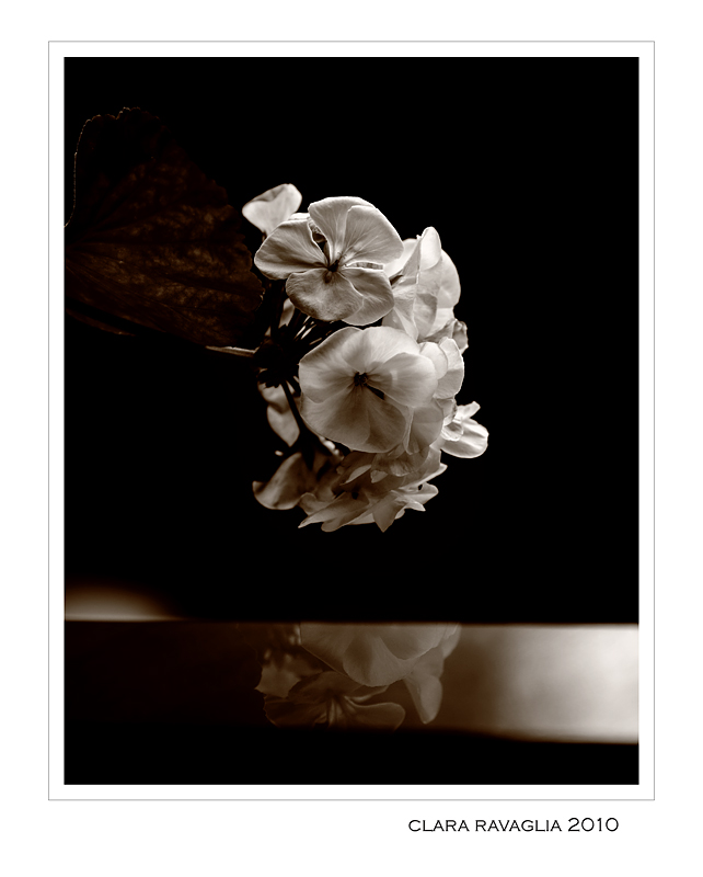 Regalami...un riflesso