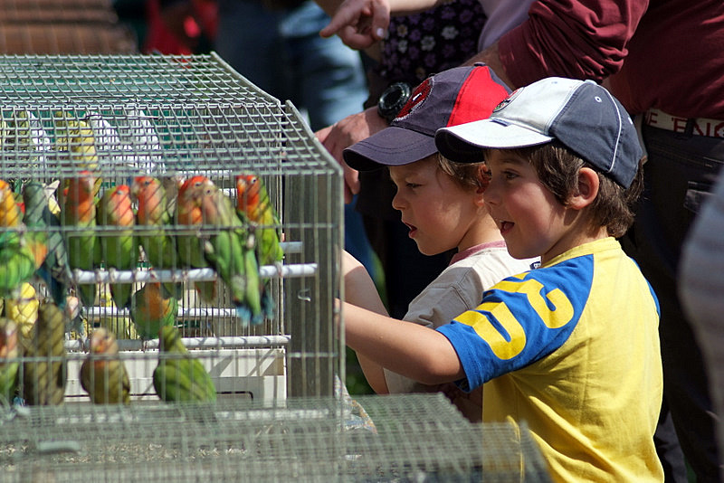 Alla Fiera di Primavera