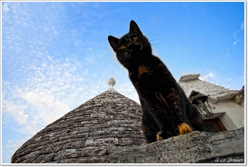 LA SFINGE DEI TRULLI