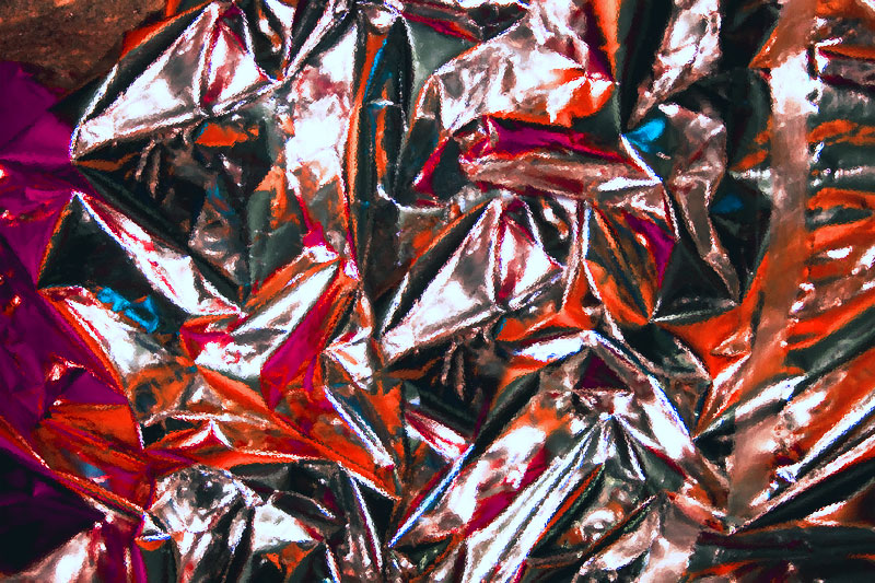 Inseguita da un cane bianco in salotto