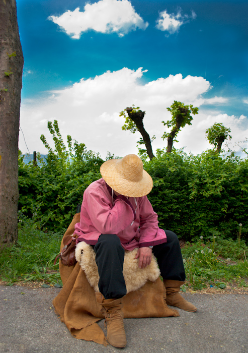 M'han rubato il destriero