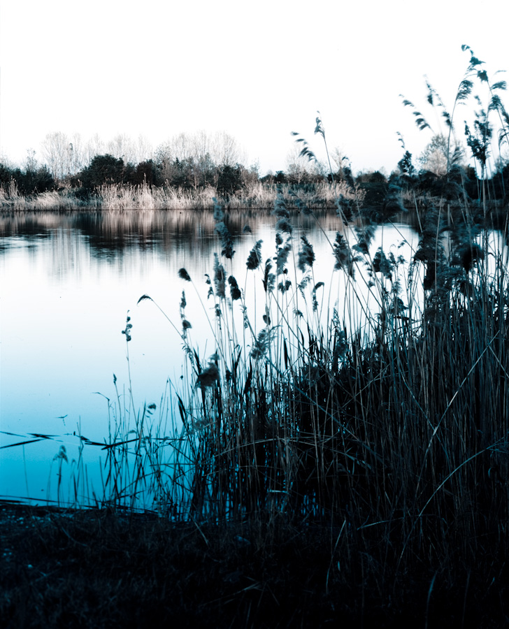 Vasche trasformate in oasi ecologica