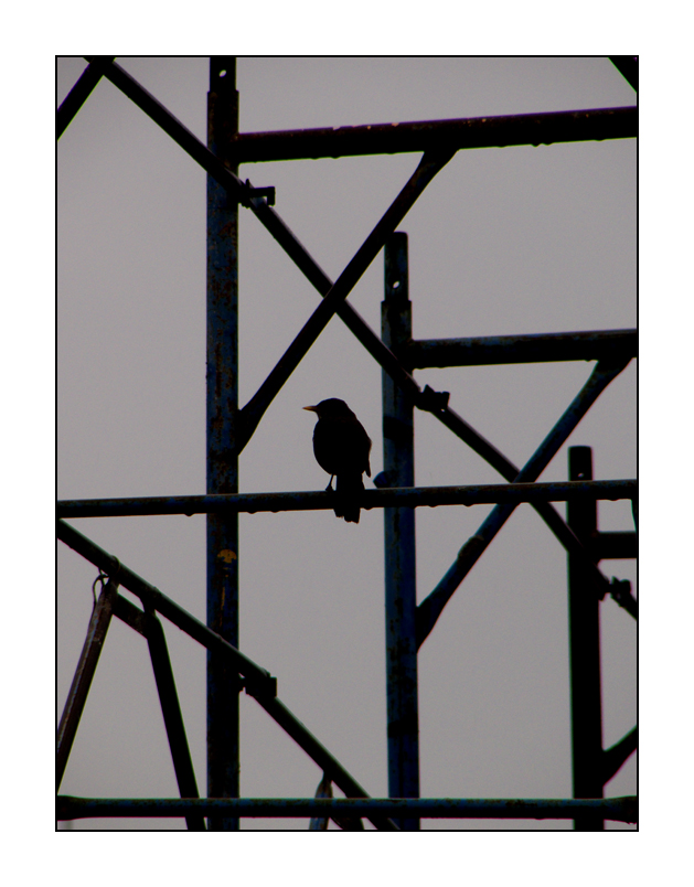 Allegro ma non troppo