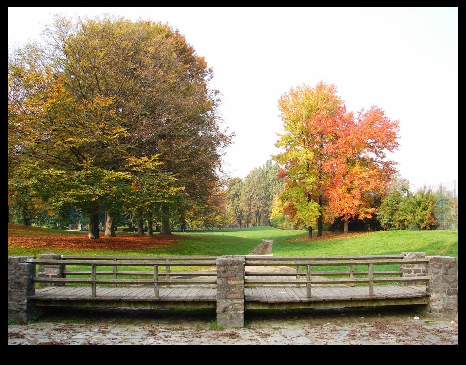 Autunno 4