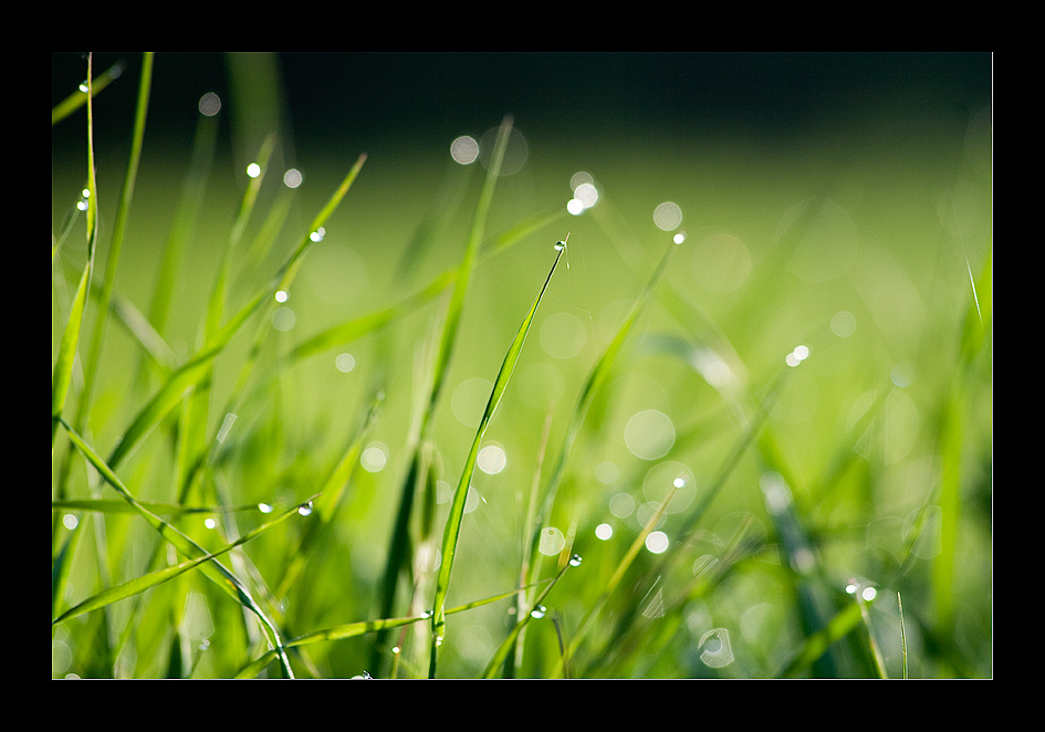 Luci di primavera - 2