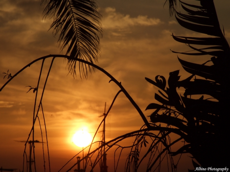 ...nel rosso dipinto di rosso...
