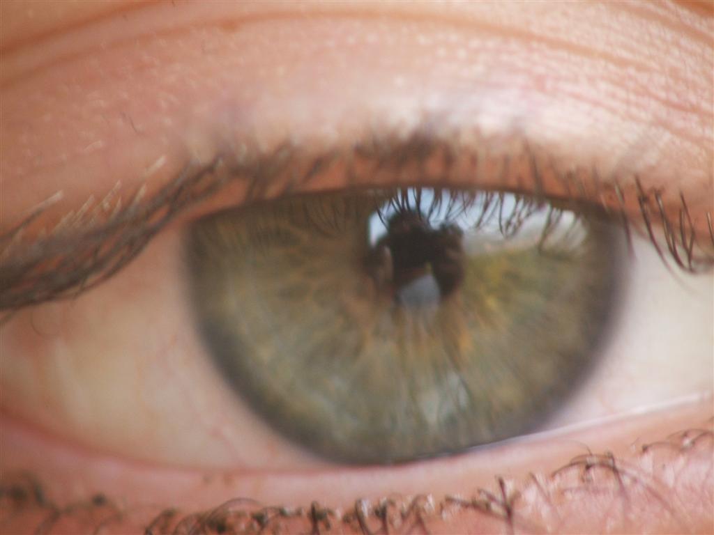 riflessi (imprevisti,lo ammetto)