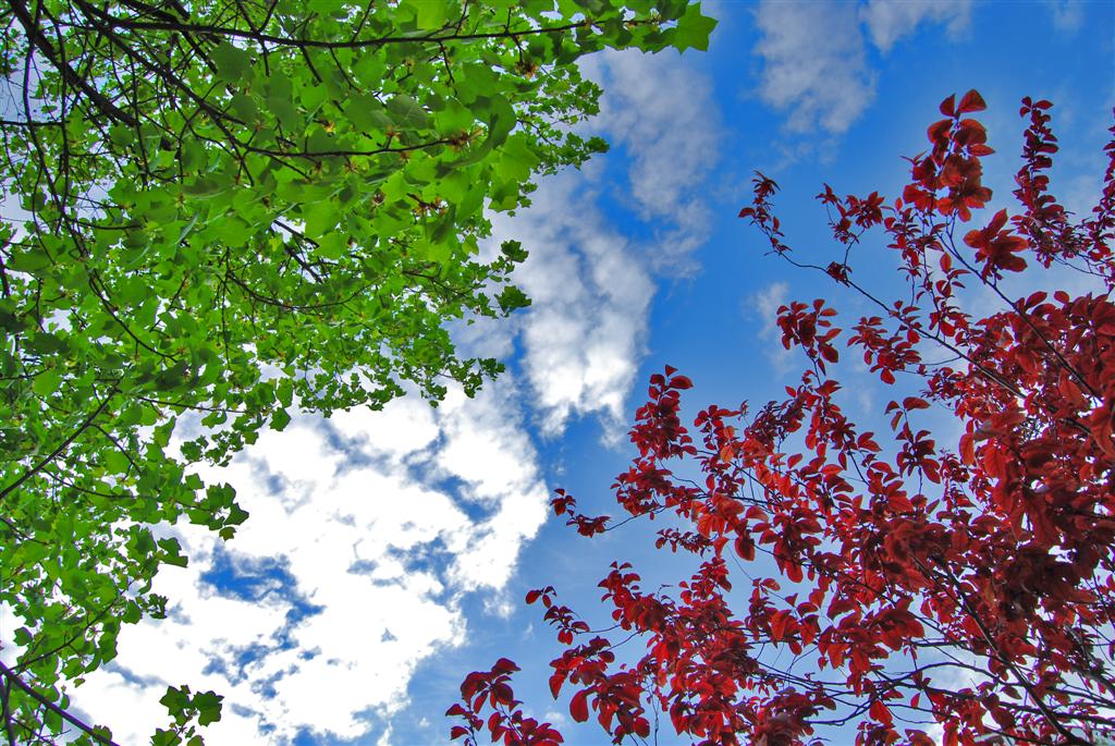 ...spirito "patriottico"....