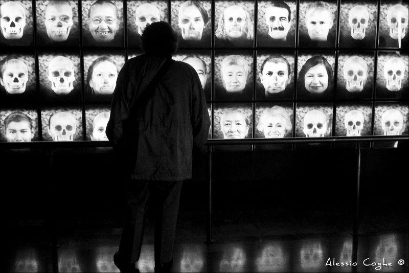 Ciudad De Mexico 005