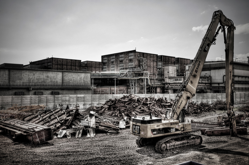 Look what the CAT dragged in