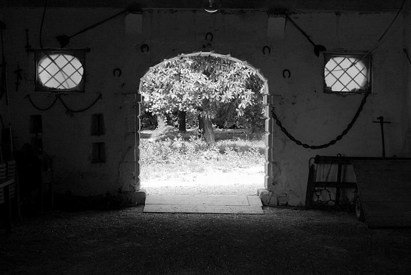 Due occhi e una bocca