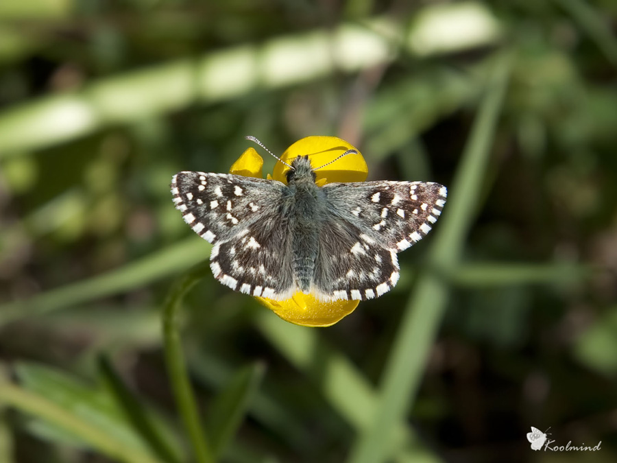 Una macro senza macro