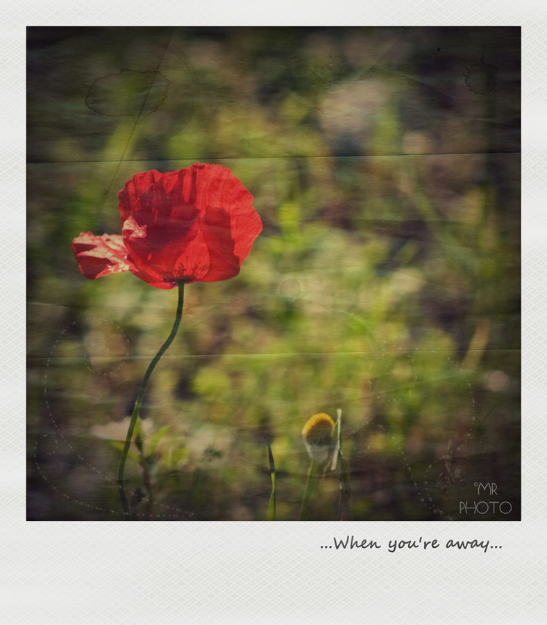 ...When you're away...