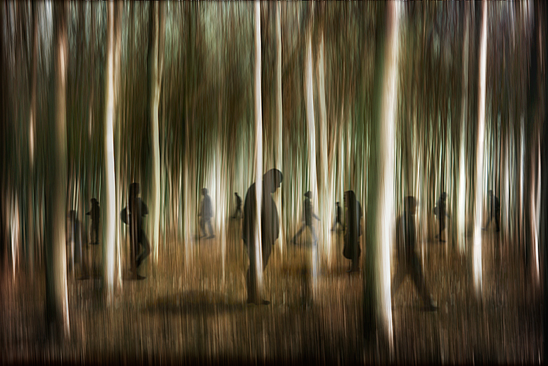 La solitudine dei numeri primi