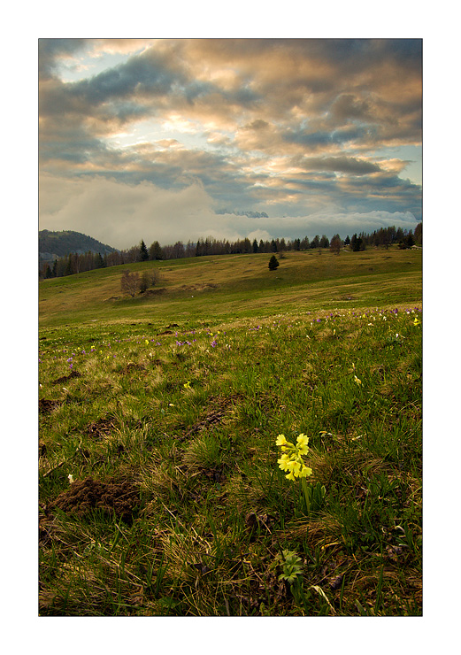 L'Essenza della Semplicit�