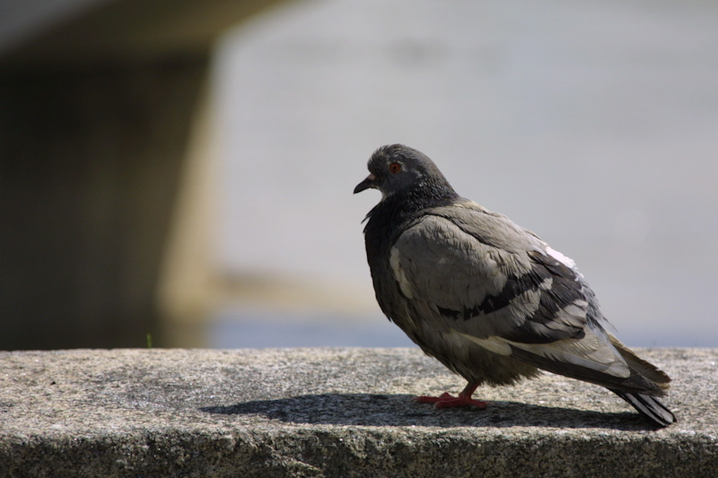 Concentrato e molto attento