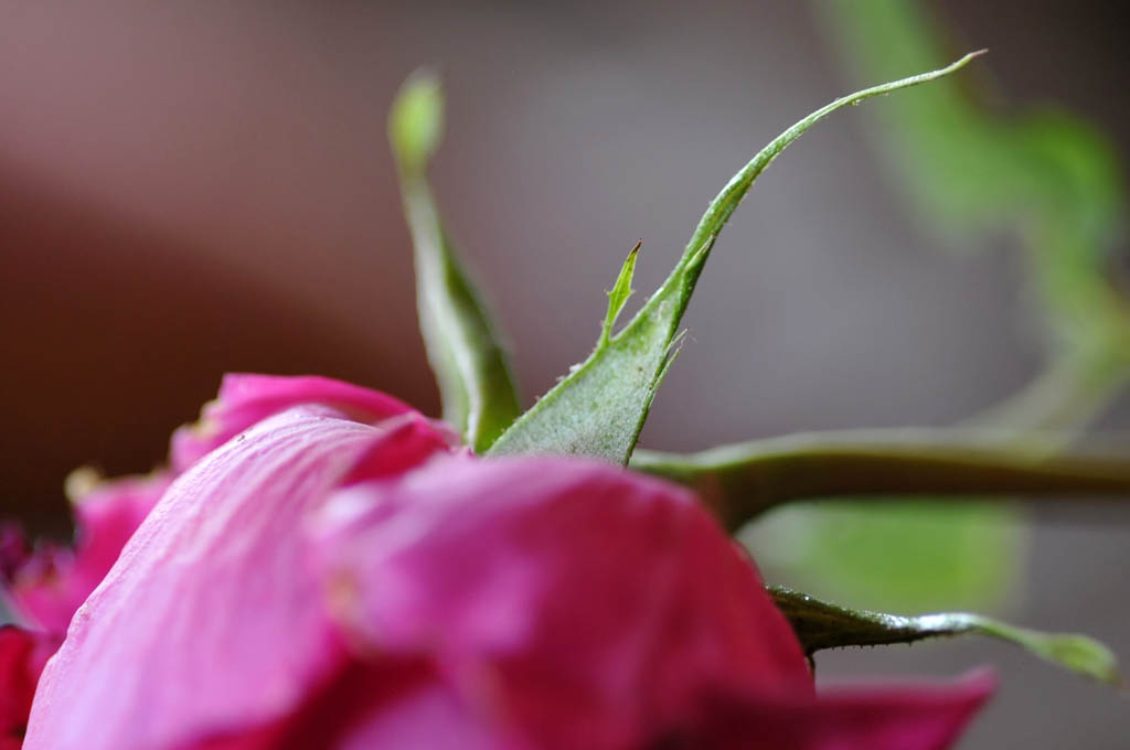 In fase di abbandono...