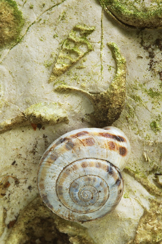 In visita a un lontano parente