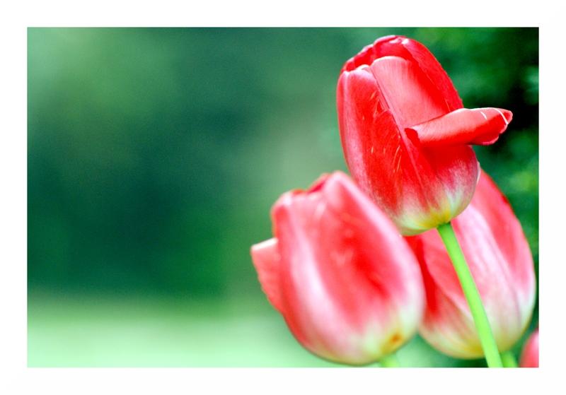 So like...but so different.