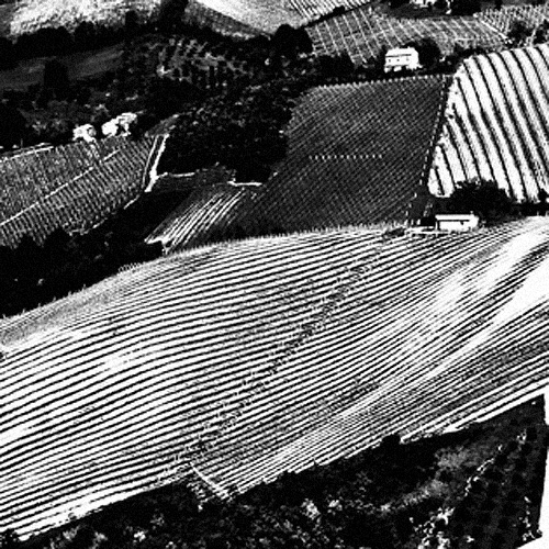 Come Giacomelli l'avrebbe visto