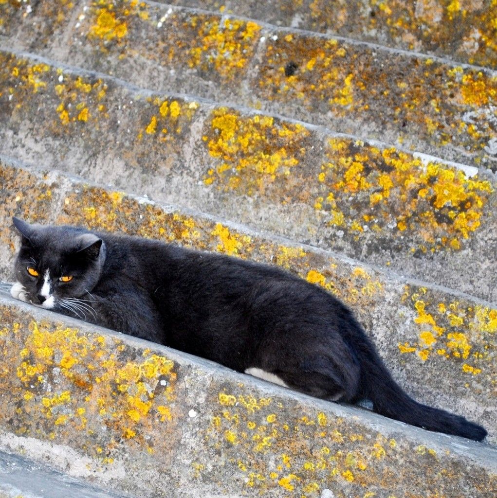 guardami negli occhi