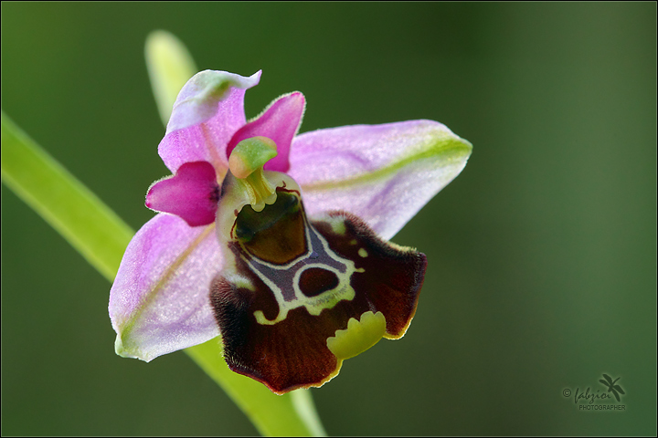 L'ultimo raggio di luce!