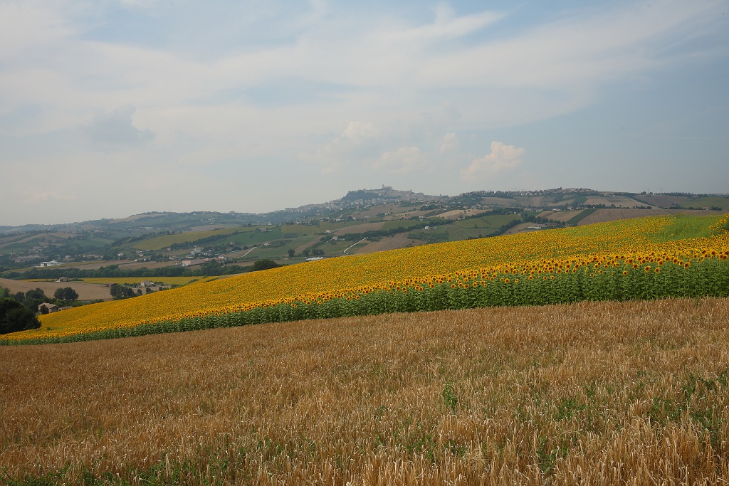 Paesaggio