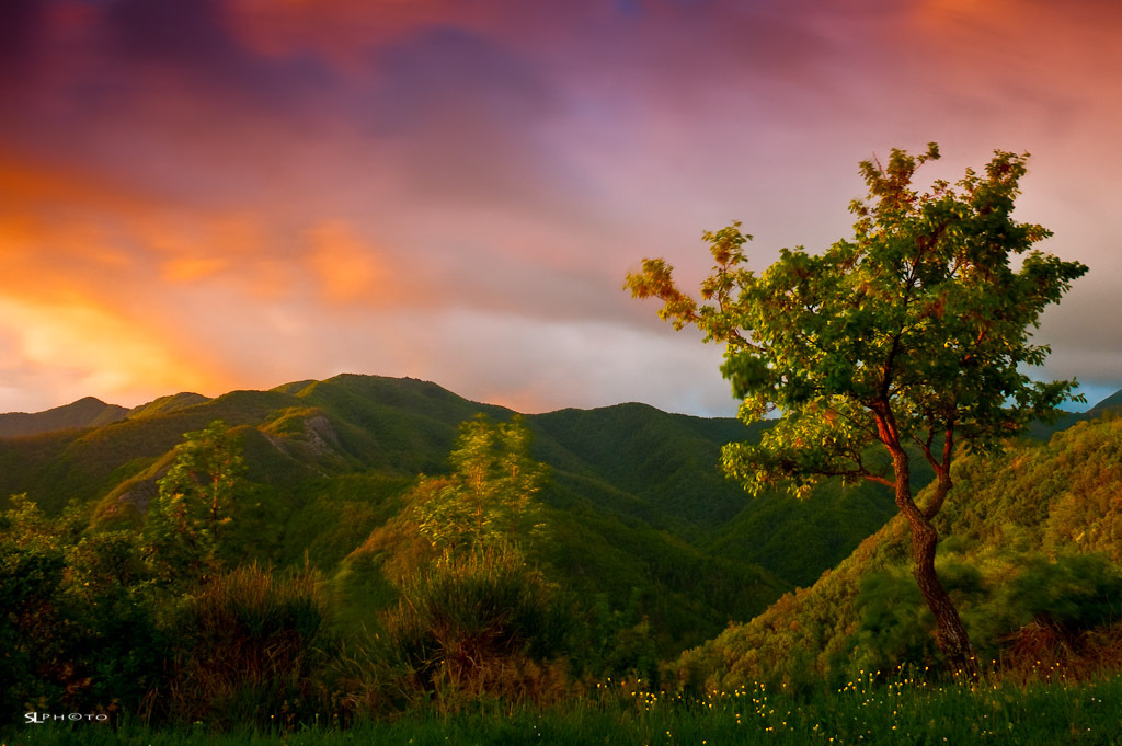 Una giornata ventosa