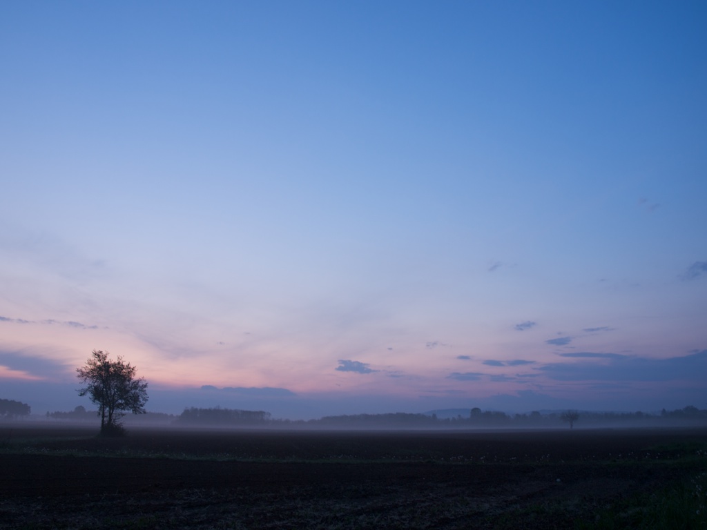 Rincasando dal Matrimonio