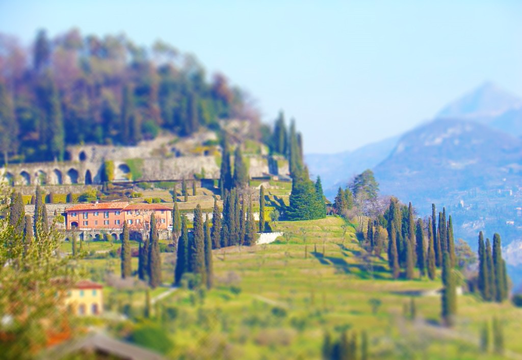 Tilt Shift