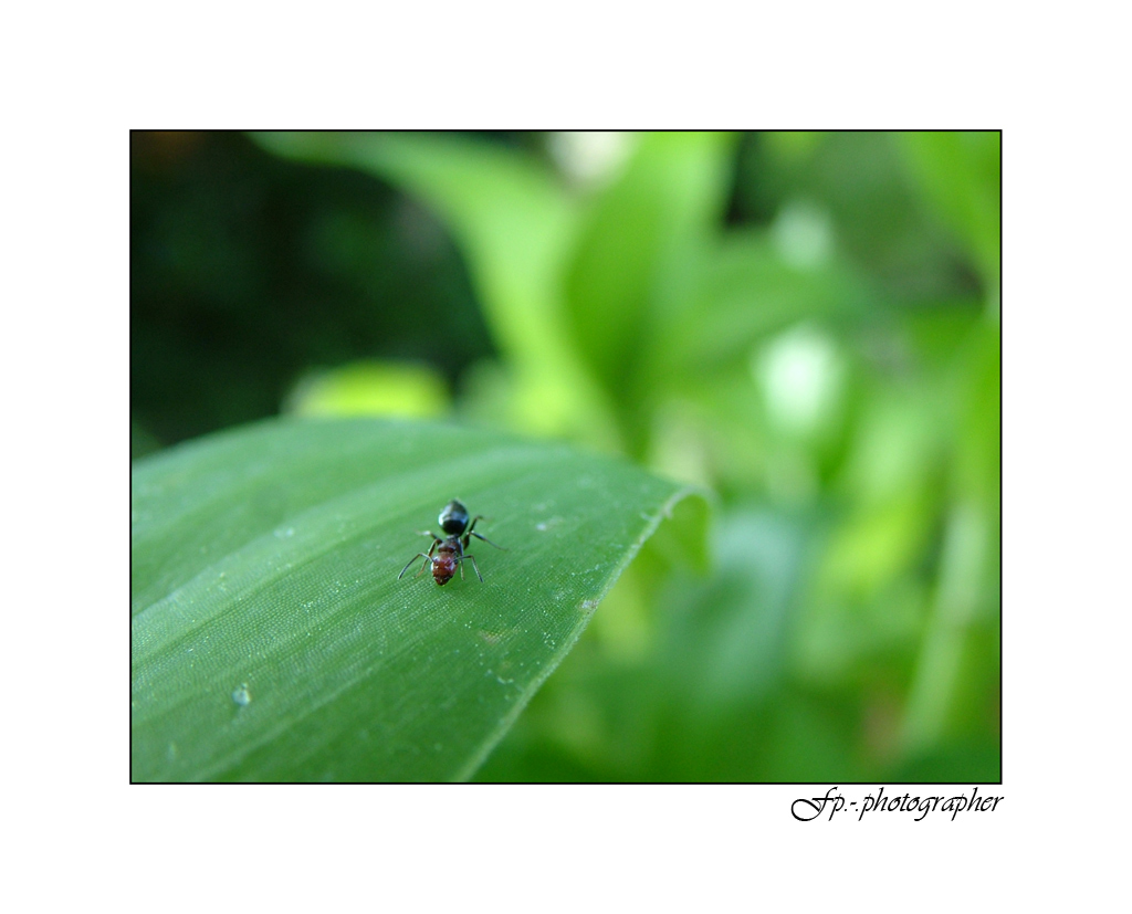 verso l'infinito e oltre...