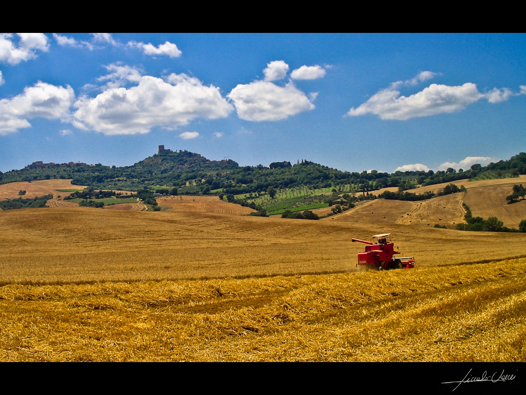 campagna d'estate