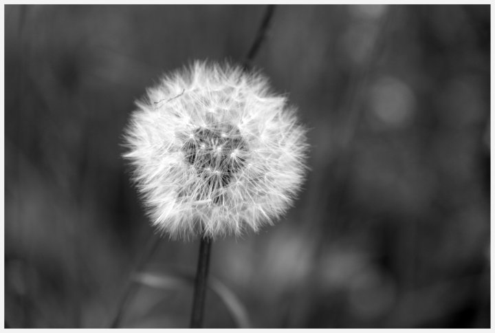 Soffice e delicato..