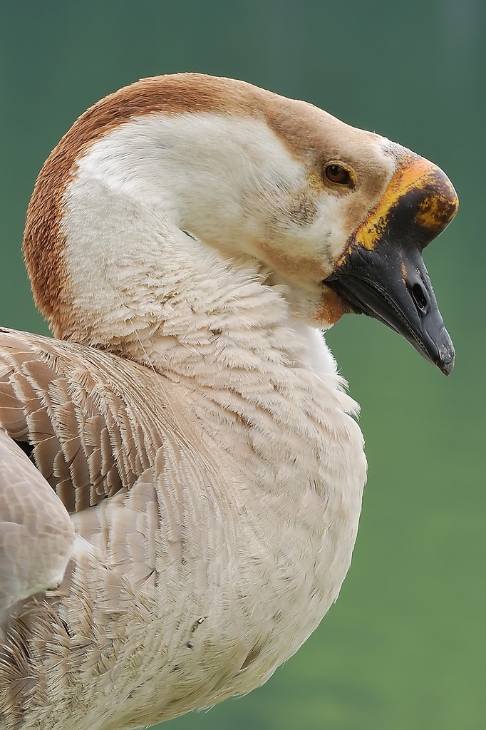 Maybe ... I Think Too...