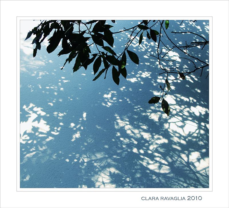 Svelami un segreto...