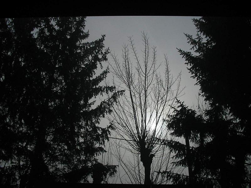 Eyelight through January fog2