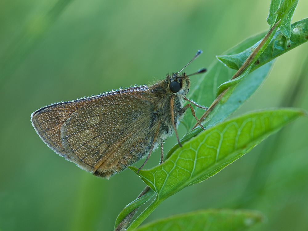 In attesa che si scaldino i motori