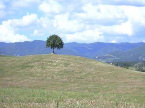 Mugello