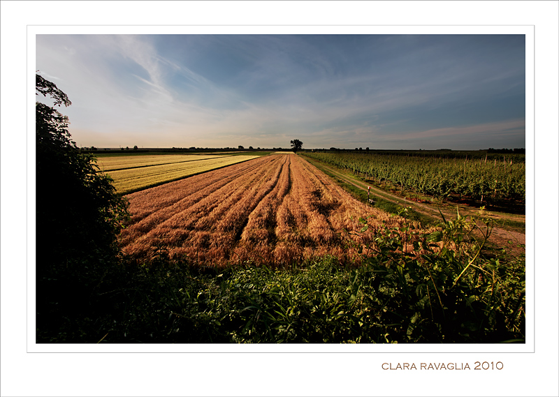 Il Sipario...della Fertilit�