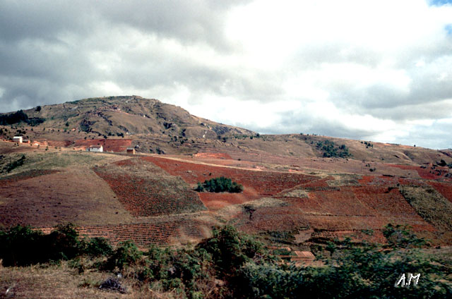 Madagascar - Terra rossa