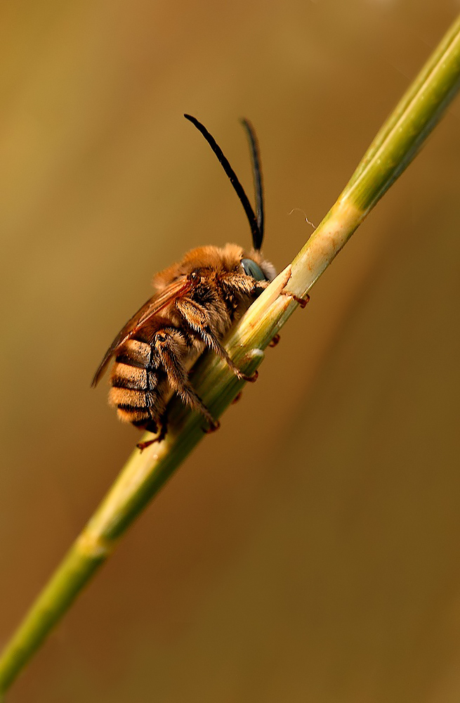 ...Alle Prime Luci...!!!