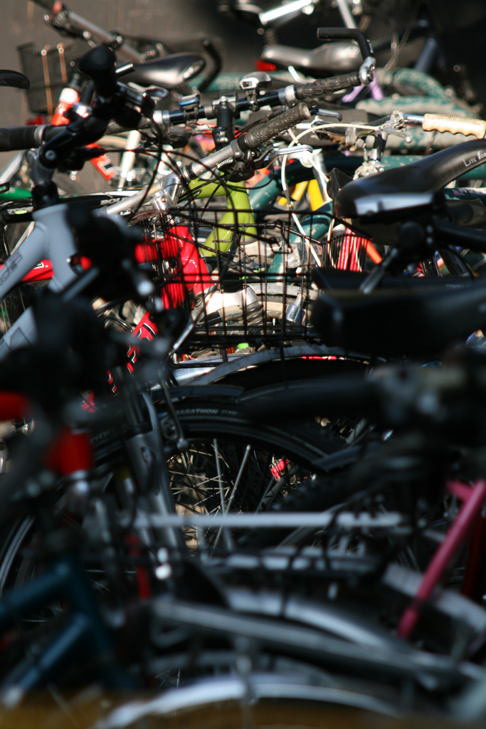 Biciclette....mucchio selvaggio
