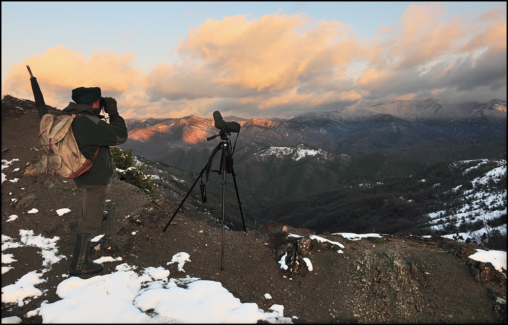 Scrutando l'orizzonte