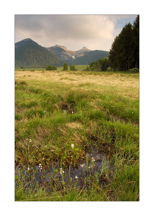 Una cosa in meno � una cosa in pi�