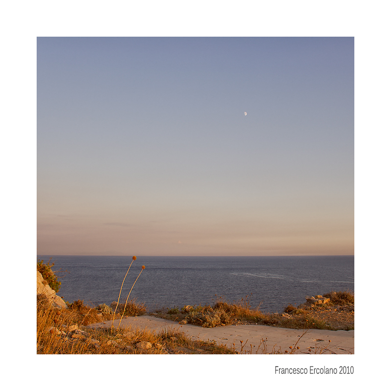 In The Mood For Love