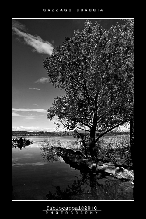 :: CAZZAGO BRABBIA... [01-02]