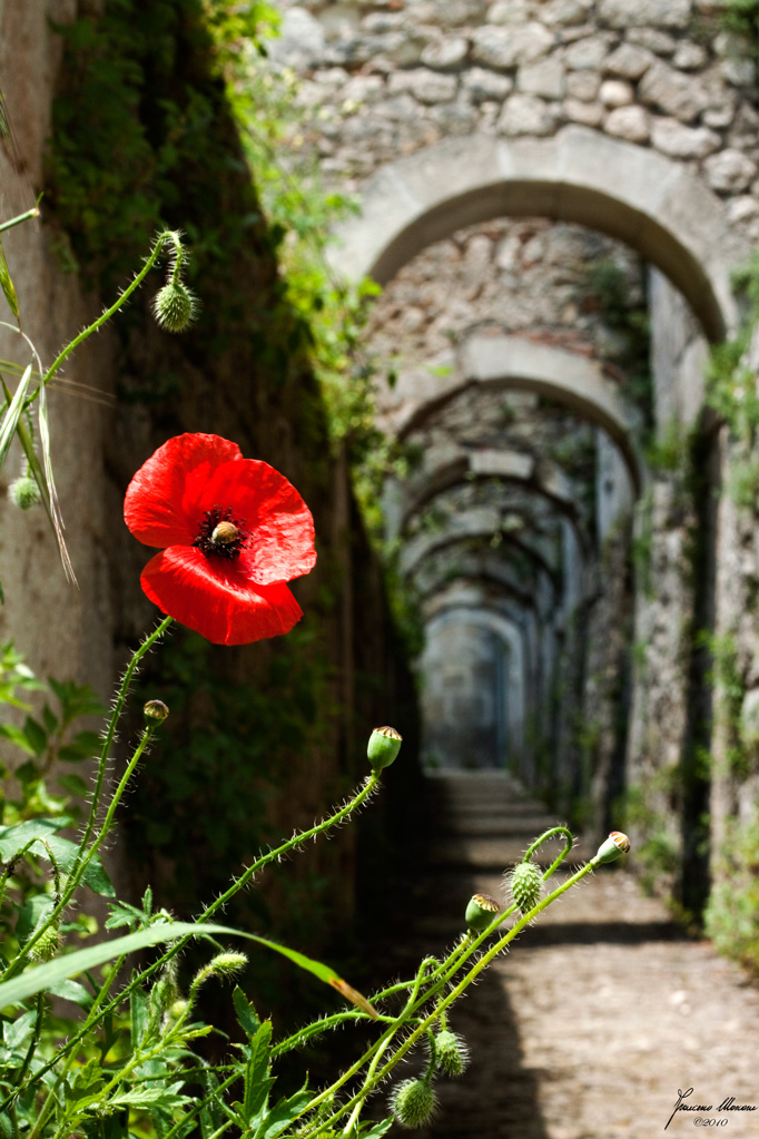 La quinta che mancava