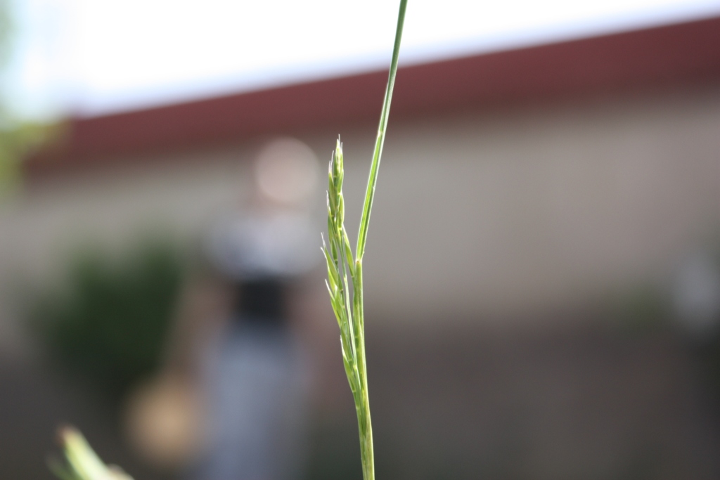 Si piega ma non si rompe...